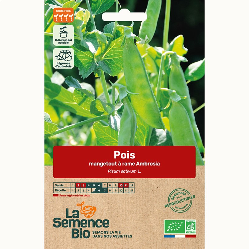 Pois mangetout demi-grimpant ambrosia