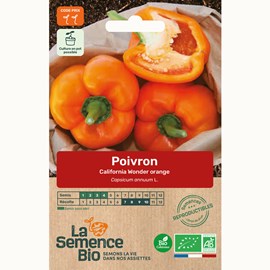 Poivron california wonder orange bio