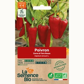 Poivron corno di toro rosso bio