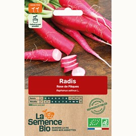 Radis rose de pâques bio