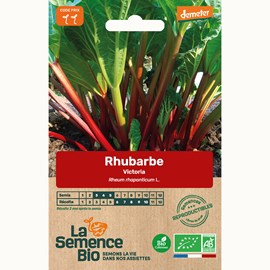 Rhubarbe victoria bio