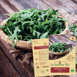 Roquette cultivée bio