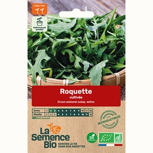 Roquette cultivée bio
