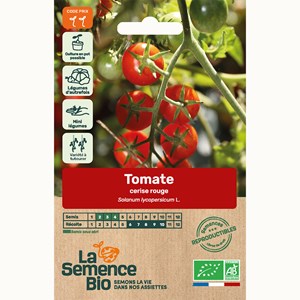 Tomate cerise rouge bio