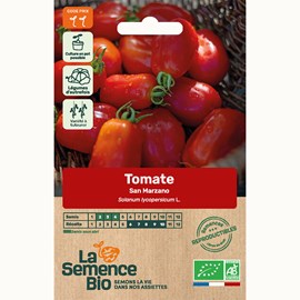 Tomate san marzano bio