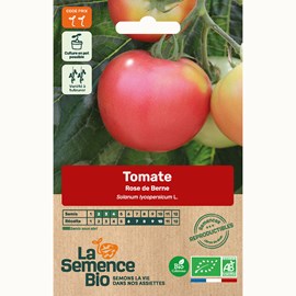 Tomate rose de berne bio