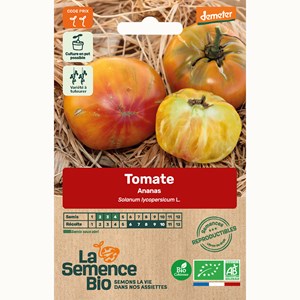Tomate ananas bio
