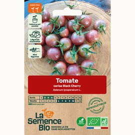 Tomate black cherry bio