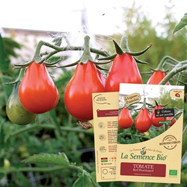 Tomate red pearshaped  bio