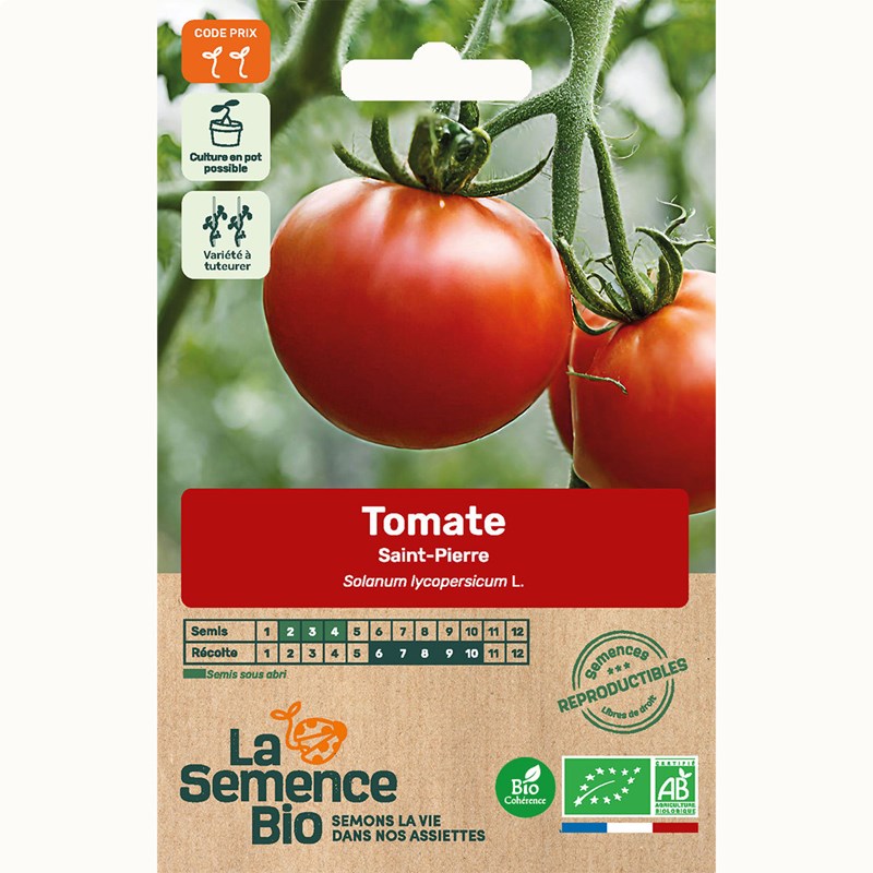 Tomate saint-pierre bio