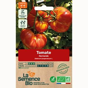Tomate marmande vf bio