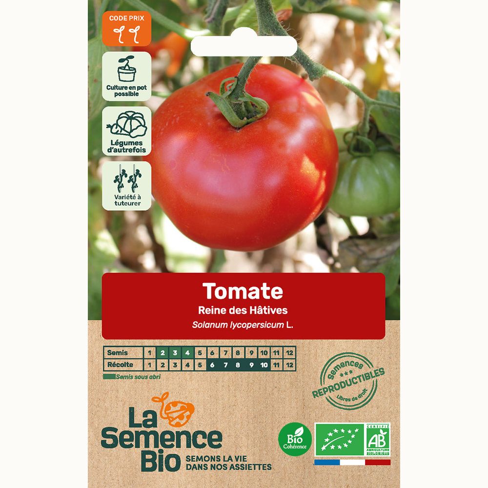 Tomate reine des hâtives bio | Nature & Découvertes