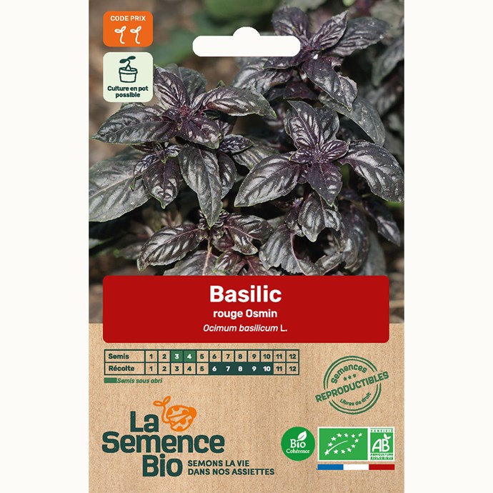 Semences Biologiques Semences De Condimentaires BASILIC ROUGE - BIO - Essem'Bio