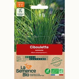 Ciboulette commune bio