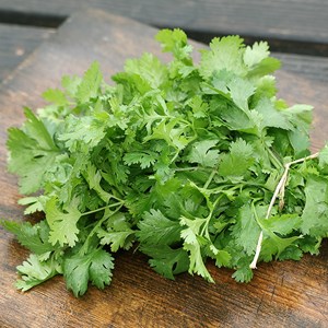 Coriandre à petites graines bio