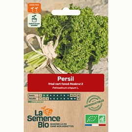 Persil frisé vert foncé bio