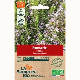 Romarin officinal bio