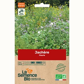 Jachere fleurie bio
