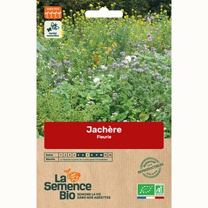 Jachere fleurie bio