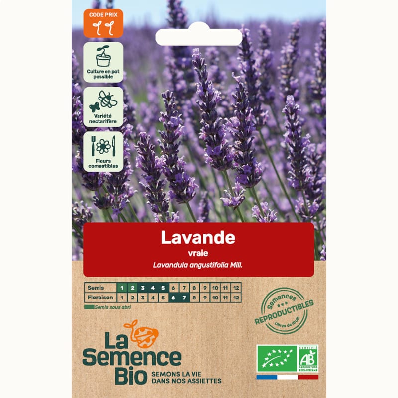 100 Graines de Lavande Méthode BIO seeds fleurs vivace officinale jardin