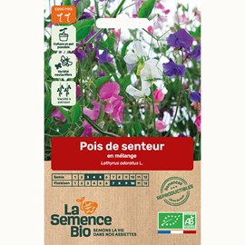 Pois de senteur en mélange bio