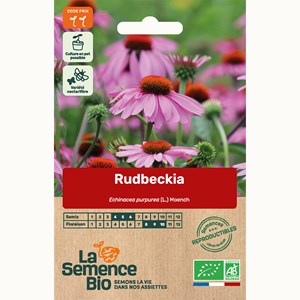 Rudbeckie echinacée bio