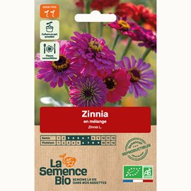 Zinnia  bio