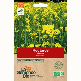 Moutarde blanche bio