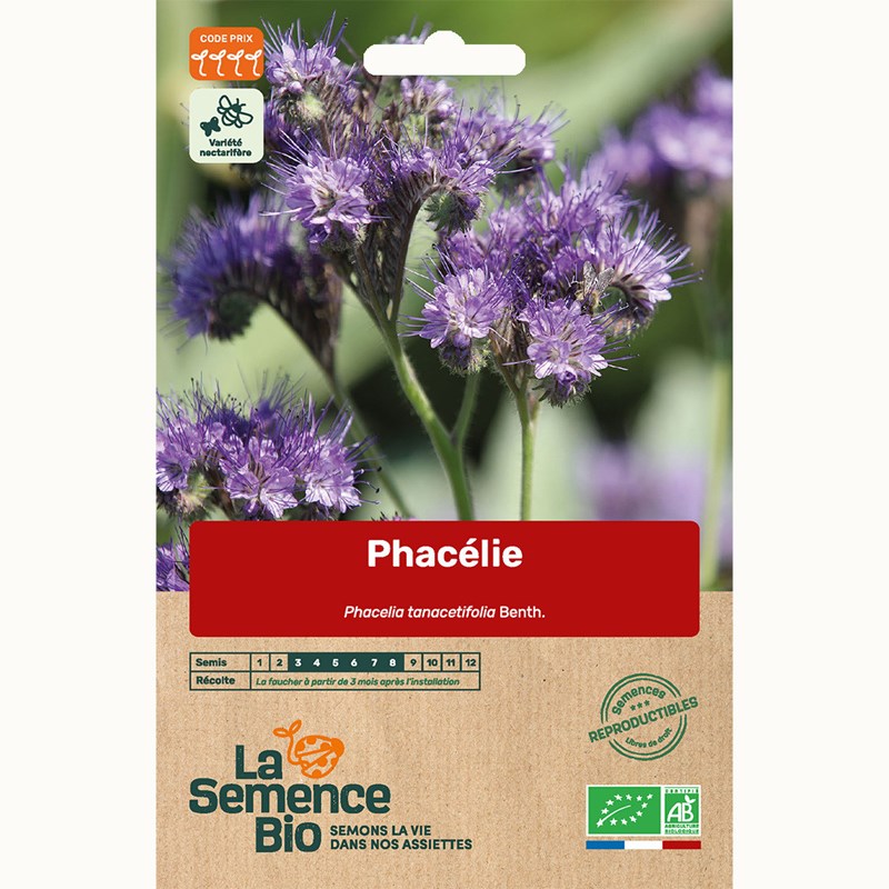 Phacelie bio