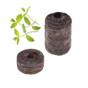 Capsule de menthe (par 2)