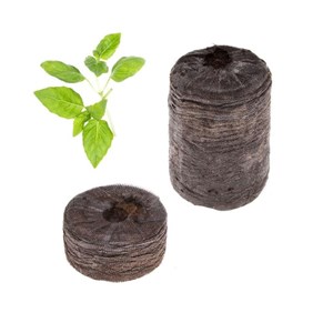 Capsule de basilic citron (par 2)