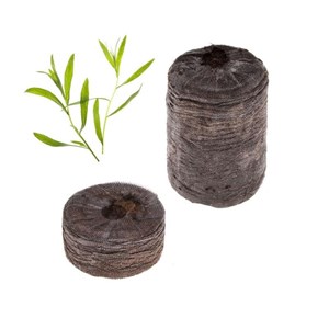 Capsule d'estragon (par 2)
