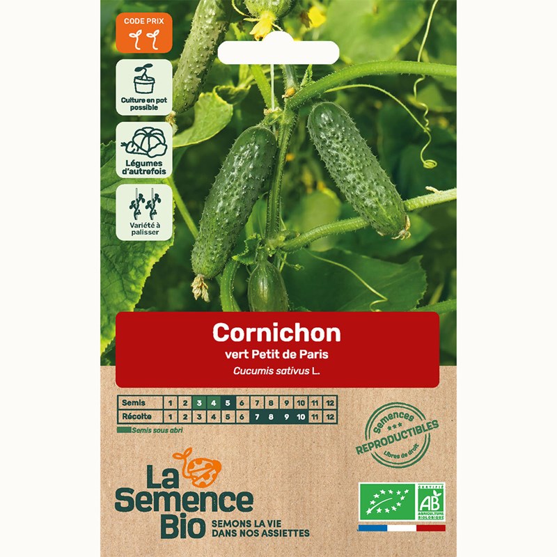 Cornichon vert petit de paris bio