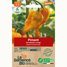 Piment habanero orange bio