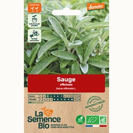 Sauge officinale bio
