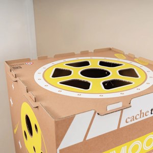 Cabane carton pliable française - moon