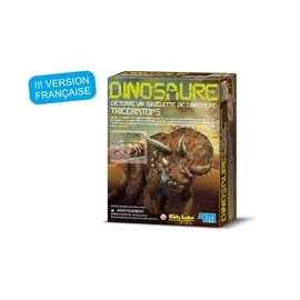 Kit de fouille triceratops