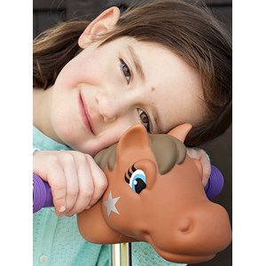 Tãªte de poney marron