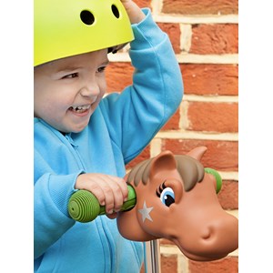 Tãªte de poney marron