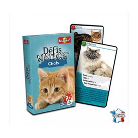 Défis nature - chats