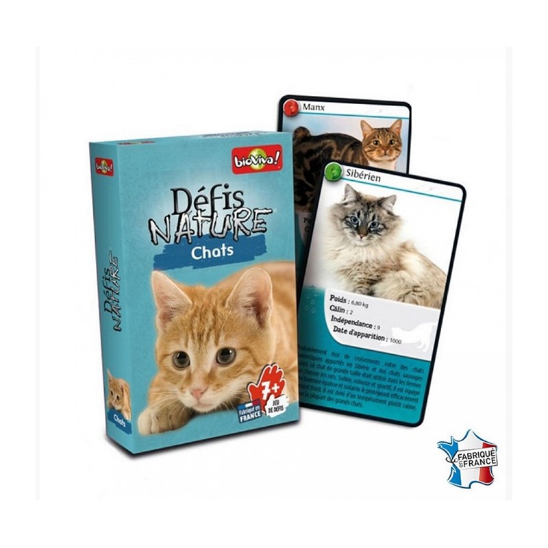 Défis nature - chats
