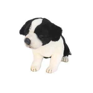 Peluche border colley bebe assis 25cm