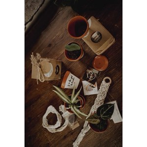 Coffret de l'amour à planter