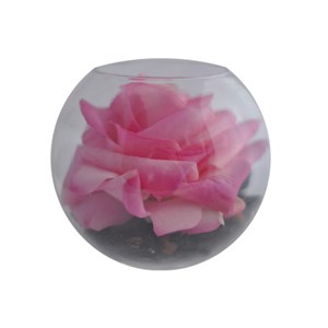 Bulle décorative pour mini-jardin en lév