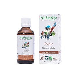 Bourgeons de poirier 50 ml bio