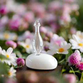 Diffuseur par nébulisation dan