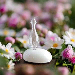 Diffuseur par nébulisation dan