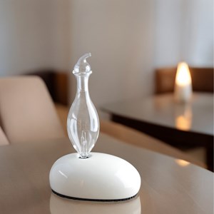 Diffuseur par nébulisation dan