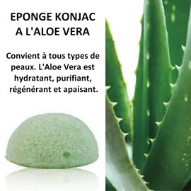 Eponge konjac à l'aloe vera