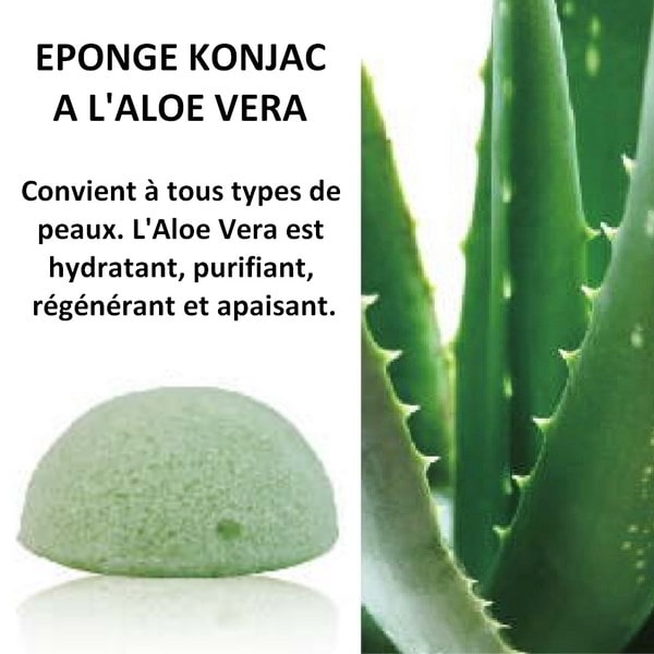 Eponge Konjac Visage Aloe Vera - Feel natural : : Beauté
